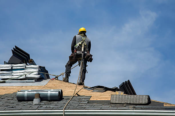 Professional Storm Damage Roof Repair technician working in Holly, MI